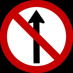 Driving straight ahead prohibited.