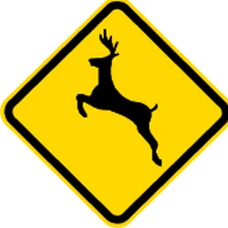 Warning for crossing deer.