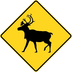 Warning for reindeer on the road.