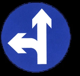 Driving straight ahead or turning left mandatory.