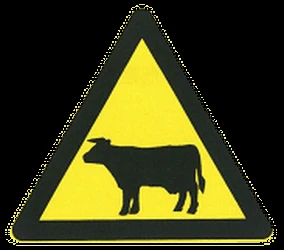 Warning for cattle on the road.