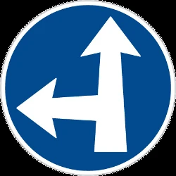 Driving straight ahead or turning left mandatory.