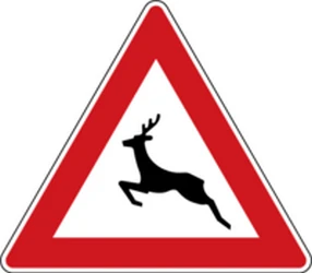 Warning for crossing deer.