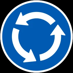 Mandatory direction of the roundabout.