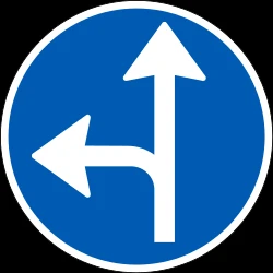 Driving straight ahead or turning left mandatory.