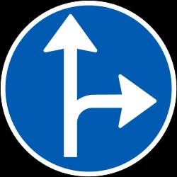 Driving straight ahead or turning right mandatory.
