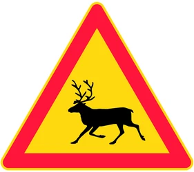 Warning for reindeer on the road.