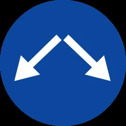 Passing left or right mandatory.