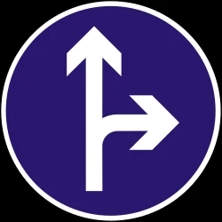 Driving straight ahead or turning right mandatory.