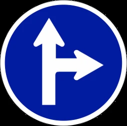 Driving straight ahead or turning right mandatory.
