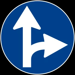 Driving straight ahead or turning right mandatory.