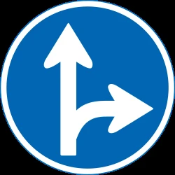Driving straight ahead or turning right mandatory.