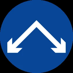 Passing left or right mandatory.