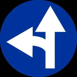 Driving straight ahead or turning left mandatory.