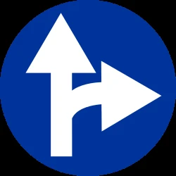 Driving straight ahead or turning right mandatory.