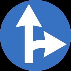 Driving straight ahead or turning right mandatory.