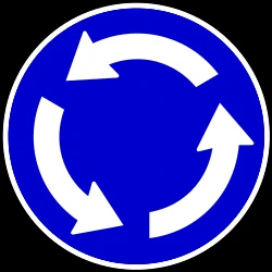 Mandatory direction of the roundabout.