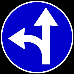 Driving straight ahead or turning left mandatory.