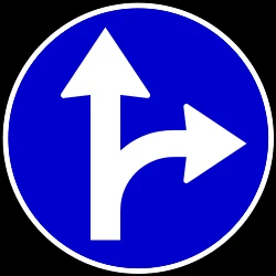 Driving straight ahead or turning right mandatory.