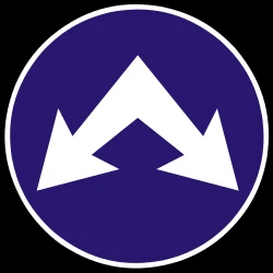 Passing left or right mandatory.