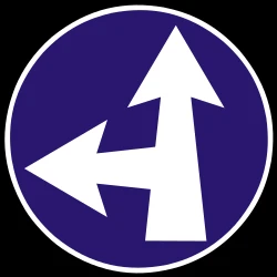 Driving straight ahead or turning left mandatory.