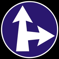 Driving straight ahead or turning right mandatory.
