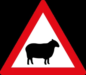 Warning for sheep on the road.
