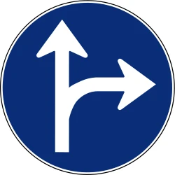 Driving straight ahead or turning right mandatory.