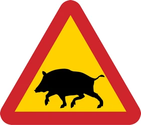 Warning for boars on the road.