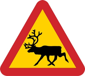 Warning for reindeer on the road.