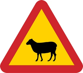 Warning for sheep on the road.