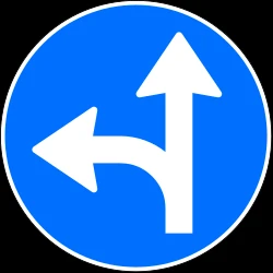 Driving straight ahead or turning left mandatory.