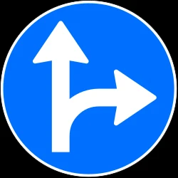 Driving straight ahead or turning right mandatory.