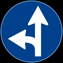 Driving straight ahead or turning left mandatory.