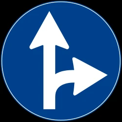 Driving straight ahead or turning right mandatory.