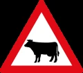 Animals crossing