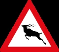 Wild animals crossing